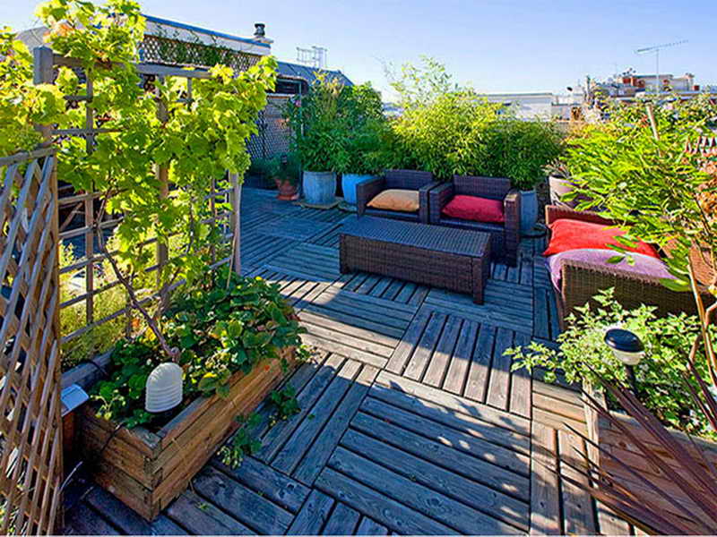 plant on the edge of the rooftop is right choices.