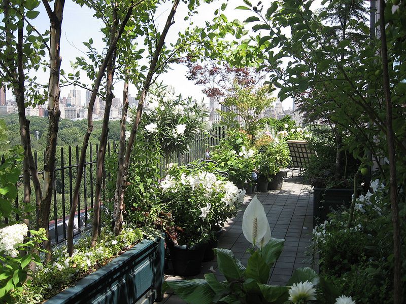 fill the empty space in the rooftop by planting the crops there.