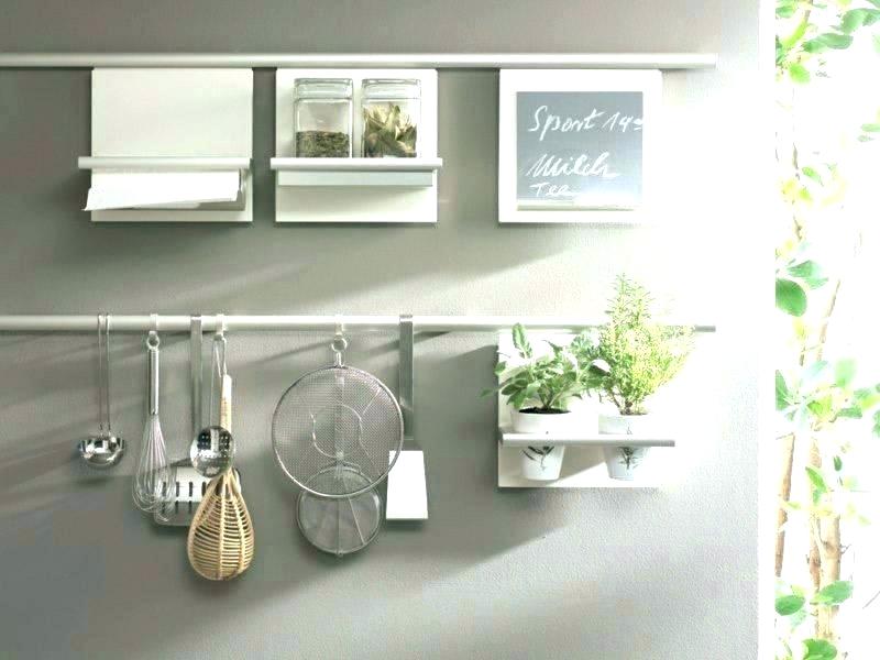 hang the plant together with other kitchen appliances.