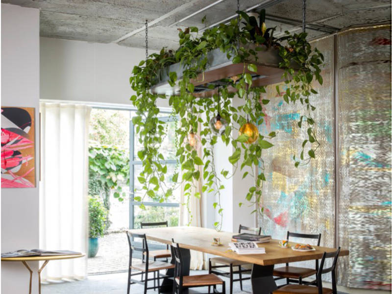 Use hanging plant on the ceiling right on the table.