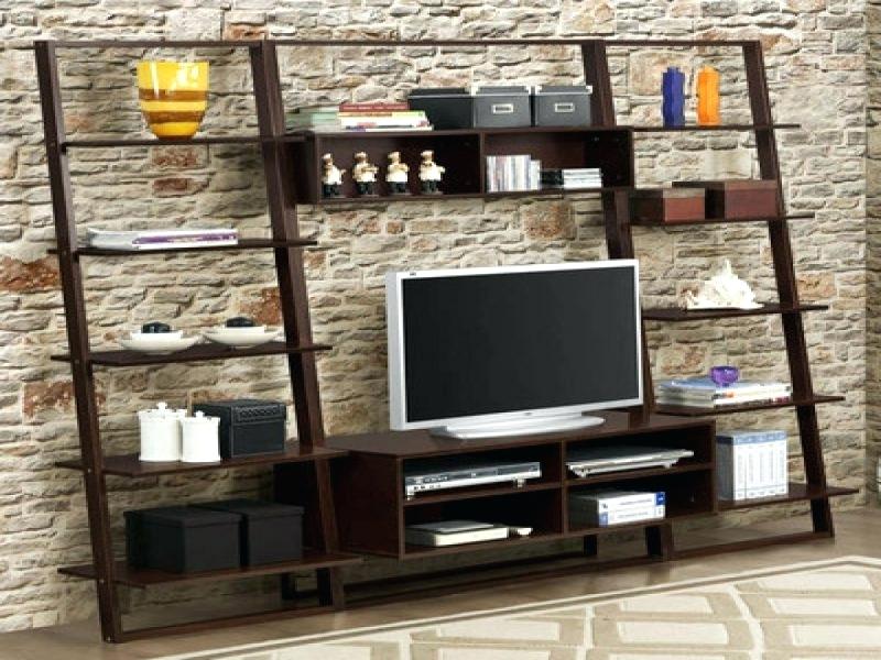 The big shelves that stand sideways for you put your tv.