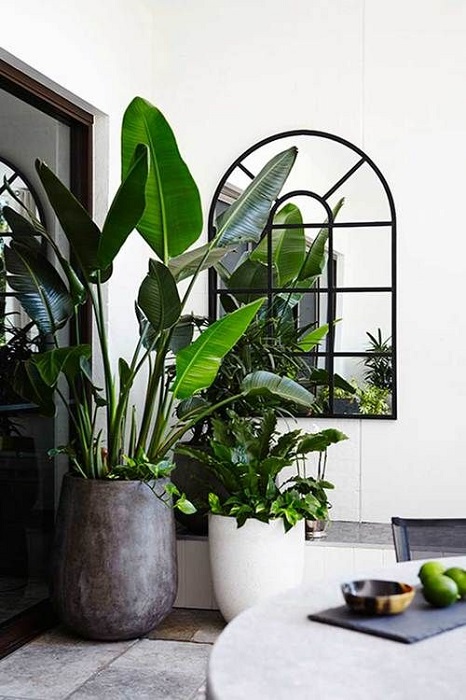 15 Attracting Indoor Garden Apartment Design Ideas Suitable For Small Space