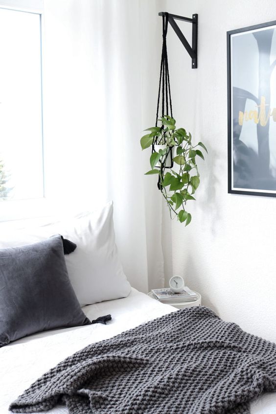 Figure Out Indoor Hanging Plants For Bedroom Ideas Complete The Smart Tips