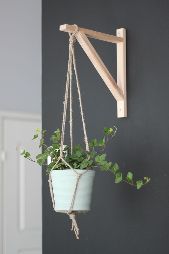 Figure Out Indoor Hanging Plants For Bedroom Ideas Complete The Smart Tips