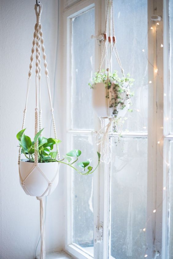 Figure Out Indoor Hanging Plants For Bedroom Ideas Complete The Smart Tips