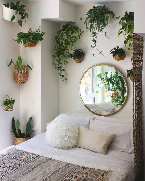 Figure Out Indoor Hanging Plants For Bedroom Ideas Complete The Smart Tips