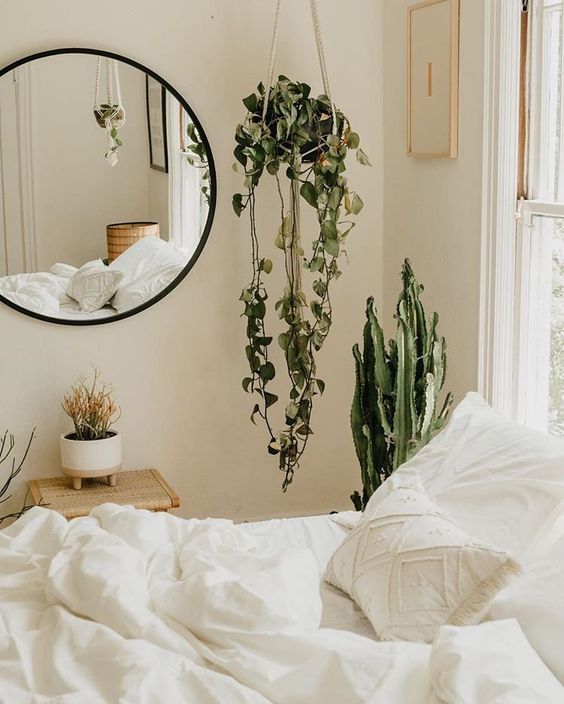 FIND: Amazing Indoor Hanging Plants For Bedroom Ideas And Smart Tips