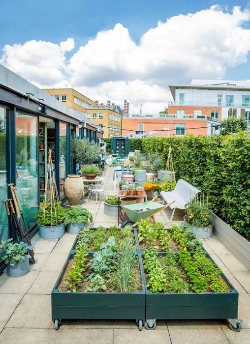 The Best Modern Rooftop Garden Design Ideas Including Useful Tips For You