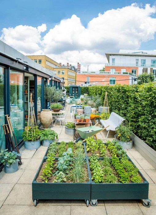 The Best Modern Rooftop Garden Design Ideas Including Useful Tips For You