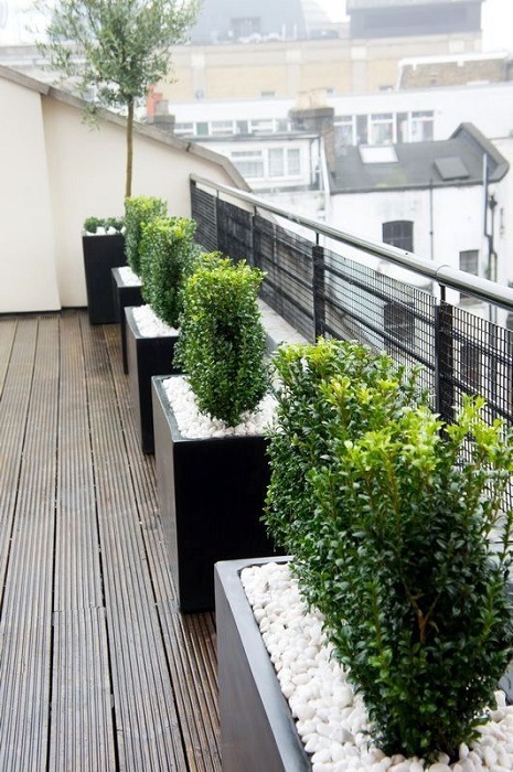 The Best Modern Rooftop Garden Design Ideas Including Useful Tips For You