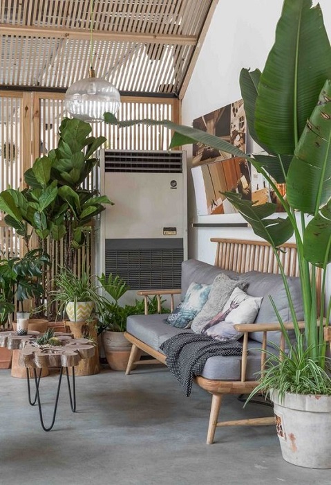 Indoor Tropical Interior Design Ideas