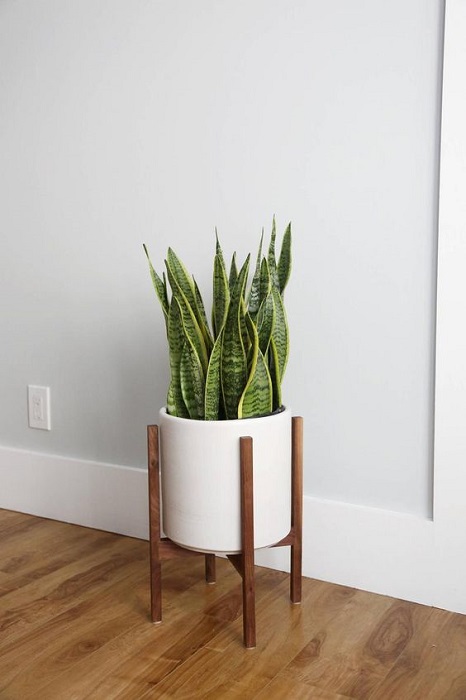 15 Modern Wood Leg Standing Planter Decor Ideas Will Beautifying Your Indoor Garden