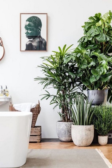 15 Incredible Indoor Plants Decor Ideas To Make Your House More Alive