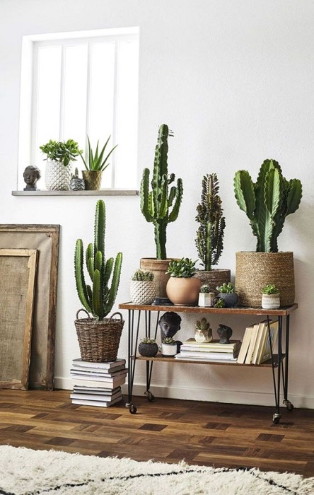 15 Incredible Indoor Plants Decor Ideas To Make Your House More Alive