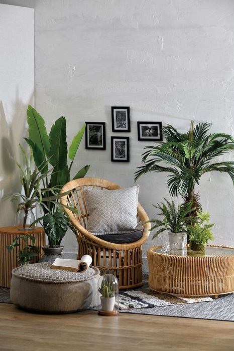 15 Incredible Indoor Plants Decor Ideas To Make Your House More Alive