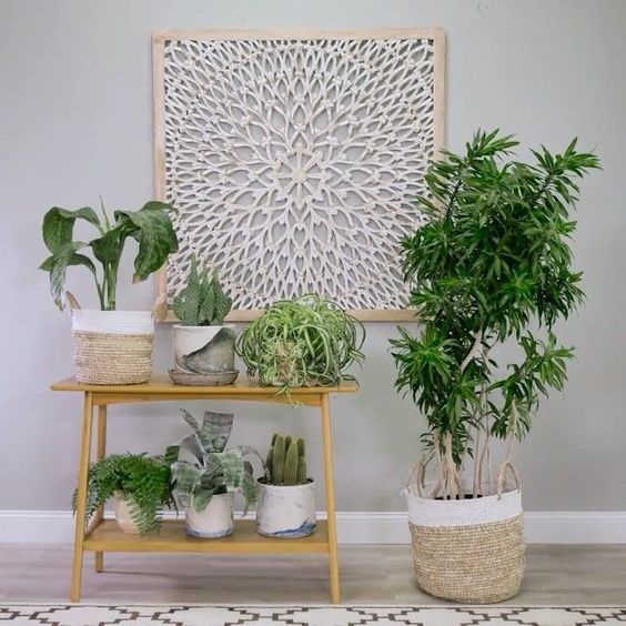 15 Incredible Indoor Plants Decor Ideas To Make Your House More Alive