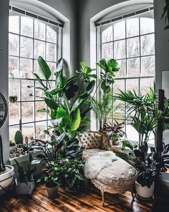 15 Incredible Indoor Plants Decor Ideas To Make Your House More Alive