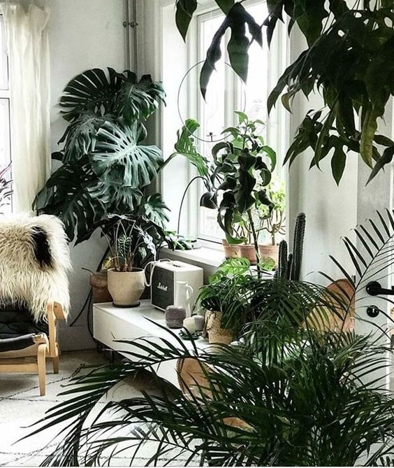 15 Incredible Indoor Plants Decor Ideas To Make Your House More Alive