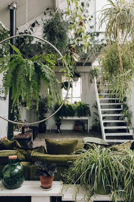 15 Incredible Indoor Plants Decor Ideas To Make Your House More Alive