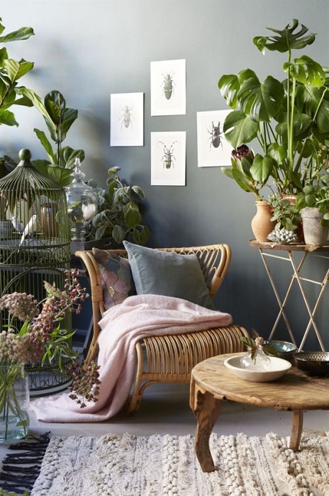 15 Incredible Indoor Plants Decor Ideas