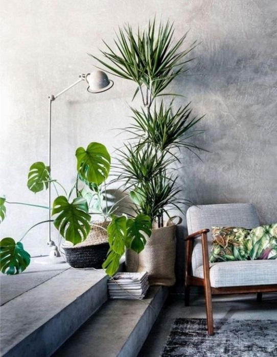 15 Incredible Indoor Plants Decor Ideas To Make Your House More Alive