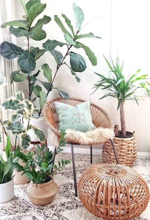 15 Incredible Indoor Plants Decor Ideas To Make Your House More Alive