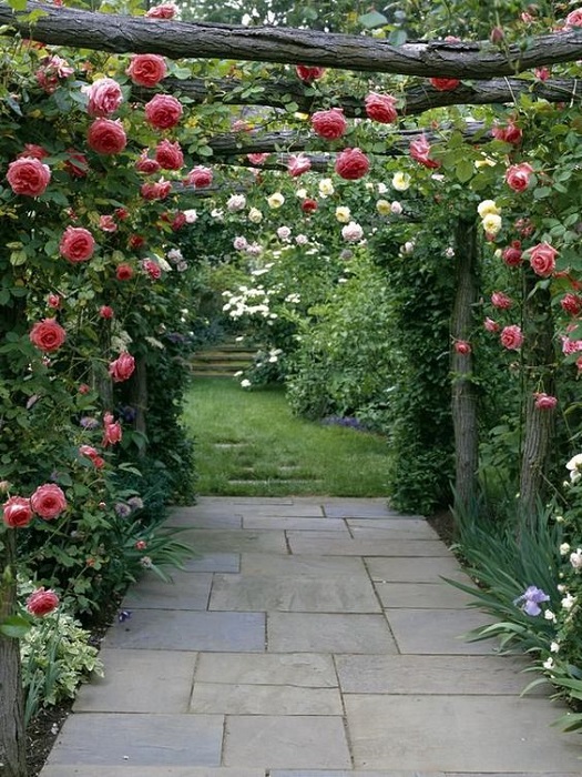 How To Create A Secret Garden Design Ideas In Backyard? Get Inspiring Tips Here