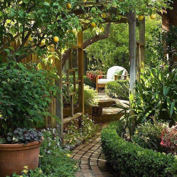 How To Create A Secret Garden Design Ideas In Backyard? Get Inspiring Tips Here