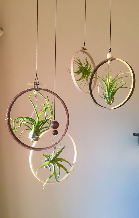 hanging plant potting