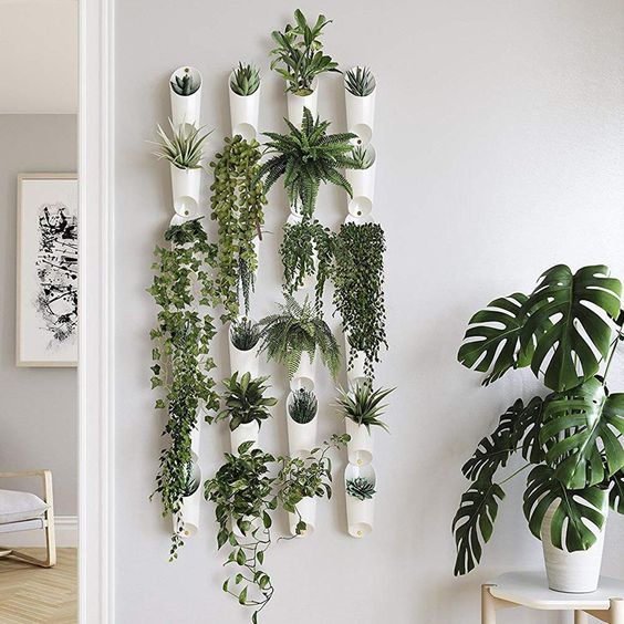 wall mounted plant