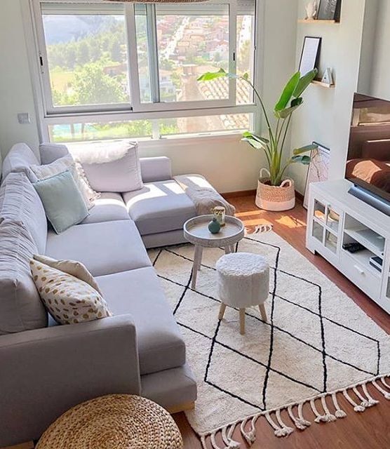 the use of carpet and rug for small apartment