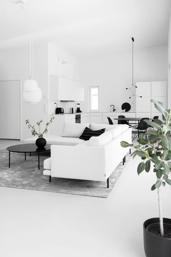 elegant monochrome living room